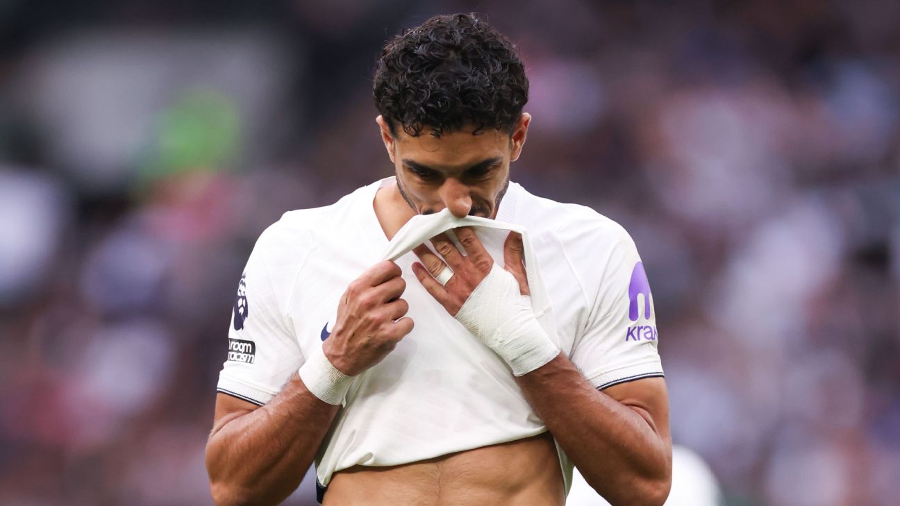 热刺主场0比2不敌纽卡斯尔 英超开局两连败